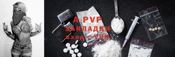 spice Аркадак