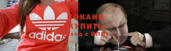 spice Аркадак