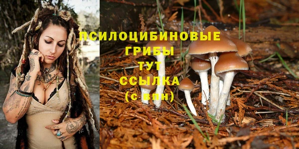 марки nbome Армянск
